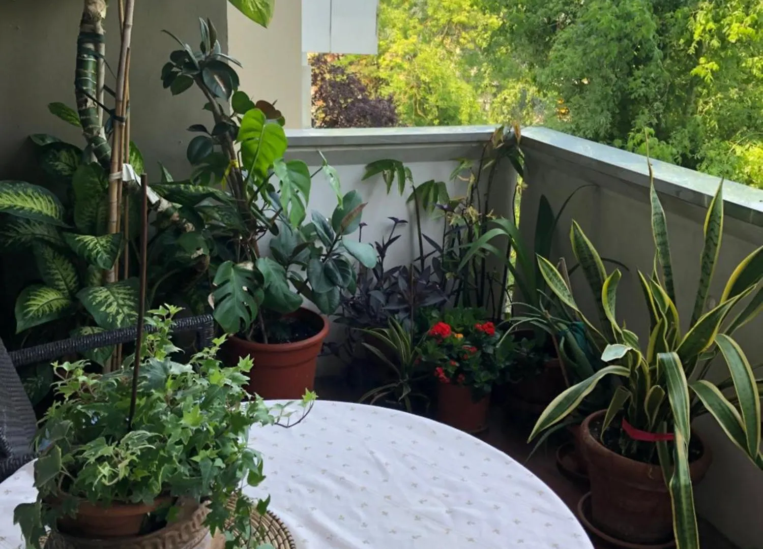 Homestay Fior Di Loto Apartment Ravenna Italy